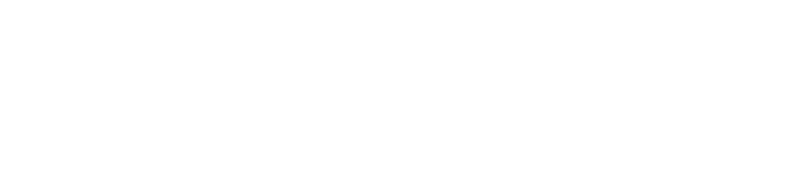 Natazia (estradiol valerate and estradiol valerate/dienogest) logo Natazia® (estradiol valerate and estradiol valerate/dienogest) logo
